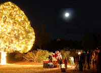 DeBordieu Club Christmas Tree Lighting