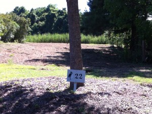 lot 22 with sign cleared