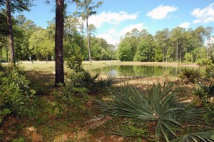 Lot 54 Lantana, water on TWO sides! $249,000