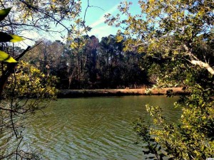Lot 41 Lantana, extra wide, wooded lot on lake overlooking nature preserve. $189,000